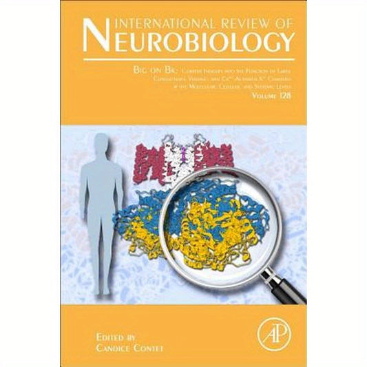 Big on Bk: Current Insights Into the Function of Large Conductance Voltage- And Ca2+- Activated K+ Channels at the Molecular, Cellular and Systemic Le