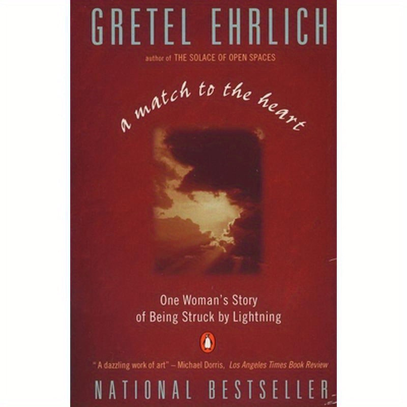 A Match to the Heart: One Woman's Story of Being Struck by Lightning