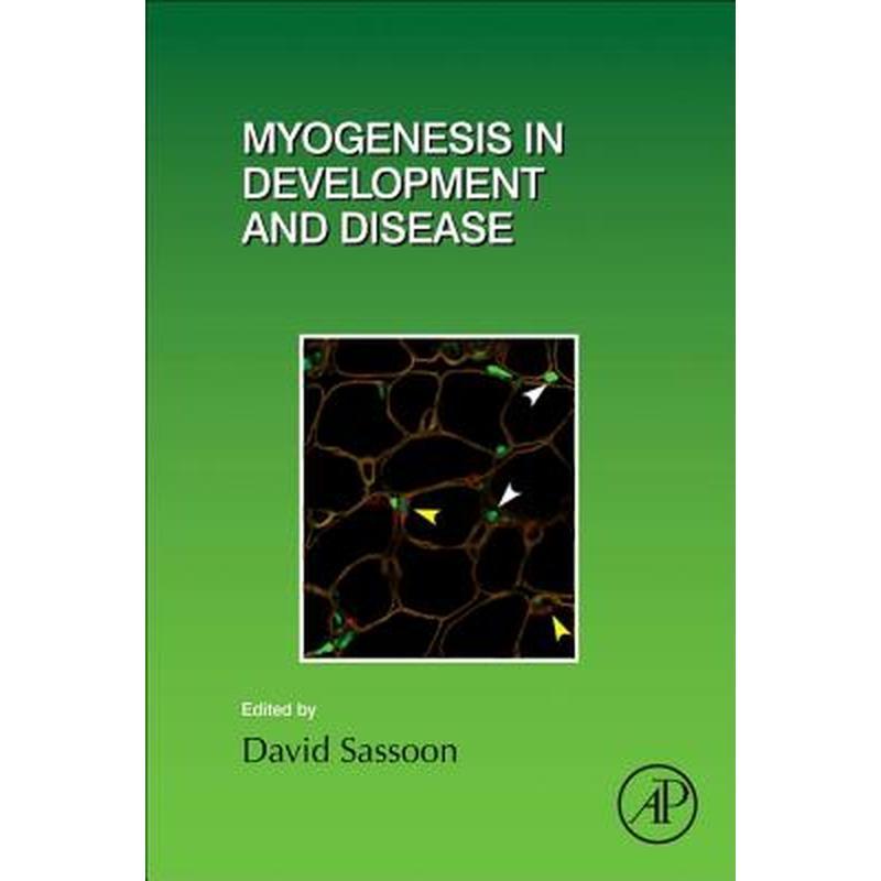 Myogenesis in Development and Disease: Volume 126