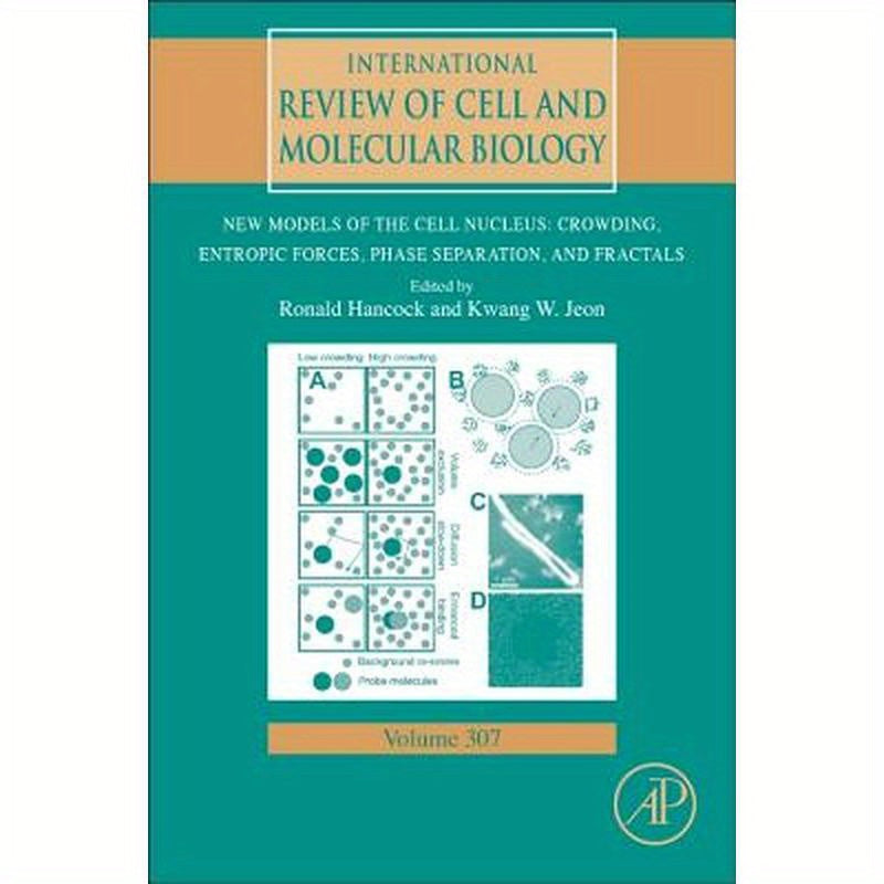 New Models of the Cell Nucleus: Crowding, Entropic Forces, Phase Separation, and Fractals: Volume 307