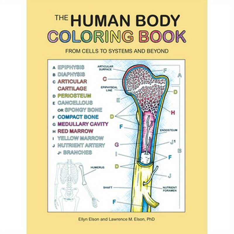 The Human Body Coloring Book: From Cells to Systems and Beyond