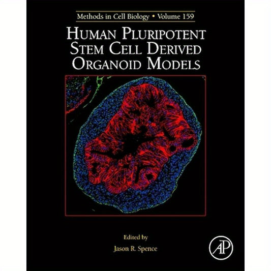 Human Pluripotent Stem Cell Derived Organoid Models: Volume 159