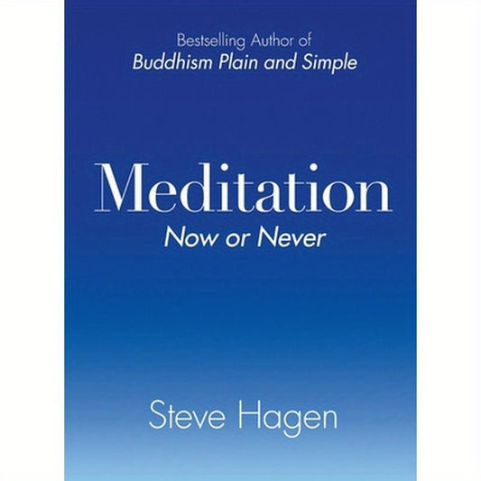 Meditation Now or Never