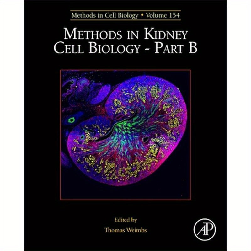Methods in Kidney Cell Biology Part B: Volume 154