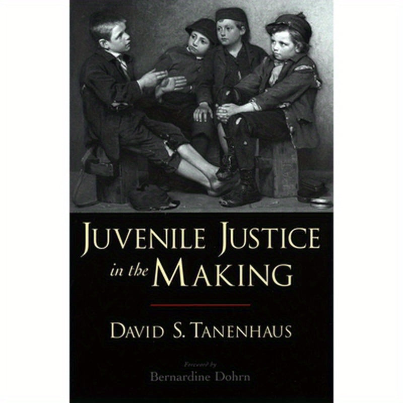 Juvenile Justice in the Making