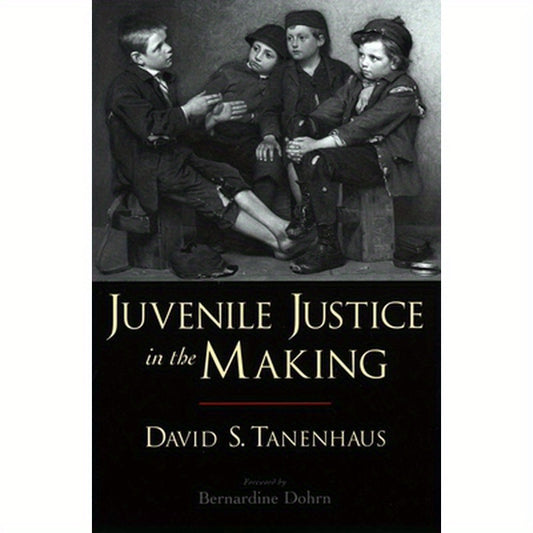 Juvenile Justice in the Making
