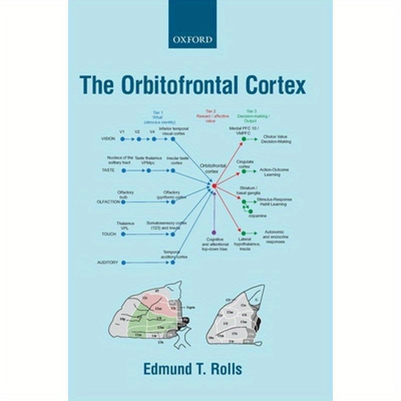 Orbitofrontal Cortex