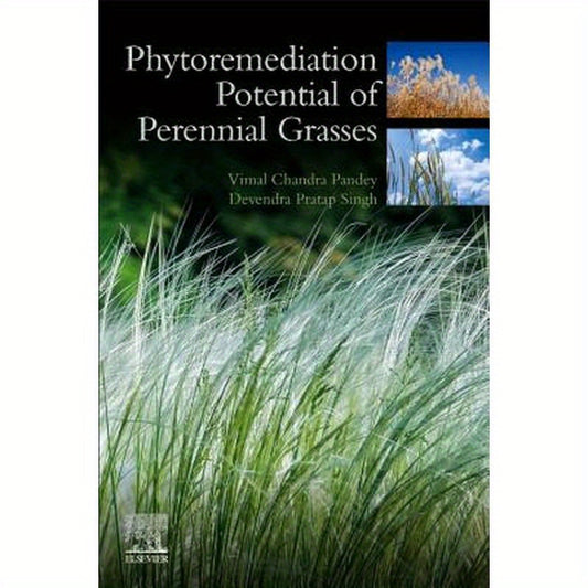 Phytoremediation Potential of Perennial Grasses