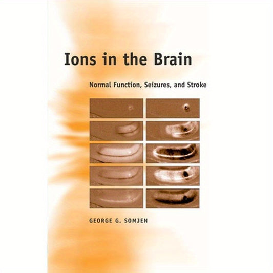 Ions in the Brain: Normal Function, Seizures, and Stroke