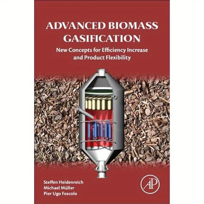 Advanced Biomass Gasification: New Concepts for Efficiency Increase and Product Flexibility