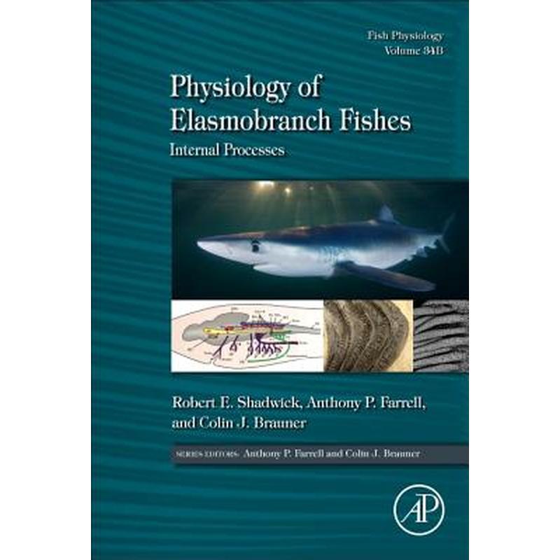 Physiology of Elasmobranch Fishes: Internal Processes: Volume 34b
