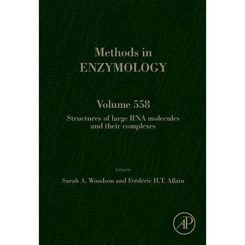 Structures of Large RNA Molecules and Their Complexes: Volume 558