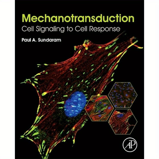 Mechanotransduction: Cell Signaling to Cell Response