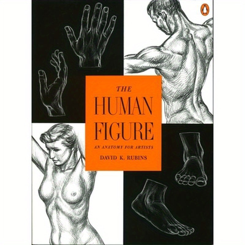 The Human Figure: An Anatomy for Artists