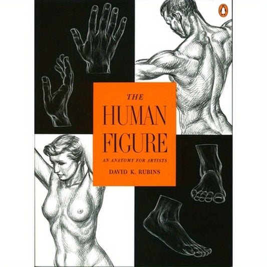 The Human Figure: An Anatomy for Artists
