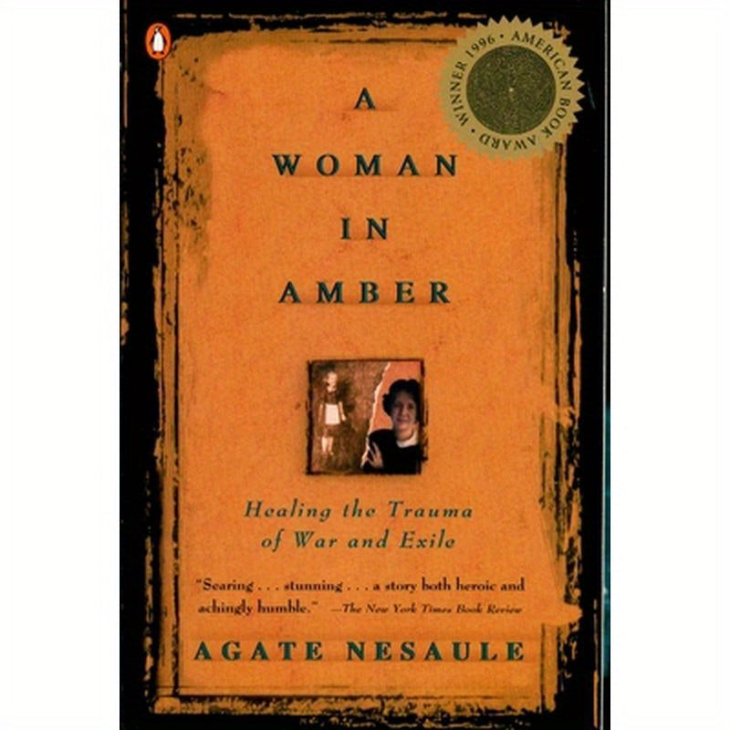 A Woman in Amber: Healing the Trauma of War and Exile