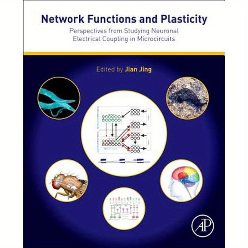 Network Functions and Plasticity: Perspectives from Studying Neuronal Electrical Coupling in Microcircuits