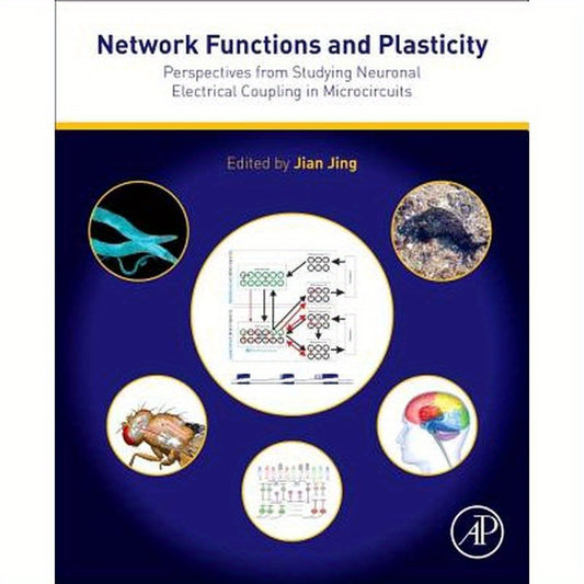 Network Functions and Plasticity: Perspectives from Studying Neuronal Electrical Coupling in Microcircuits