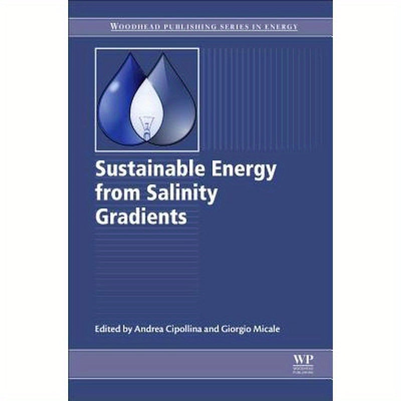 Sustainable Energy from Salinity Gradients