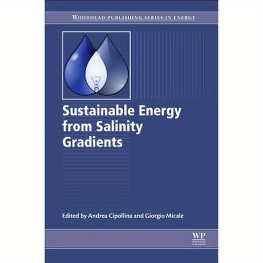 Sustainable Energy from Salinity Gradients