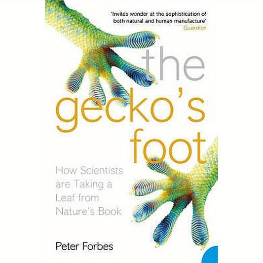 The Gecko's Foot: How Scientists are Taking a Leaf from Nature's Book