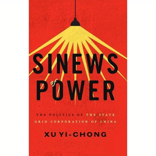 Sinews of Power: The Politics of the State Grid Corporation of China