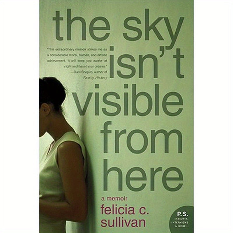 The Sky Isn't Visible from Here: A Memoir