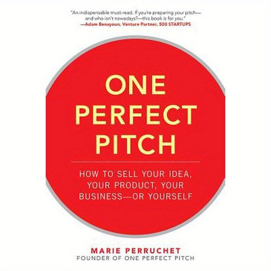 One Perfect Pitch: How to Sell Your Idea, Your Product, Your Business -Or Yourself