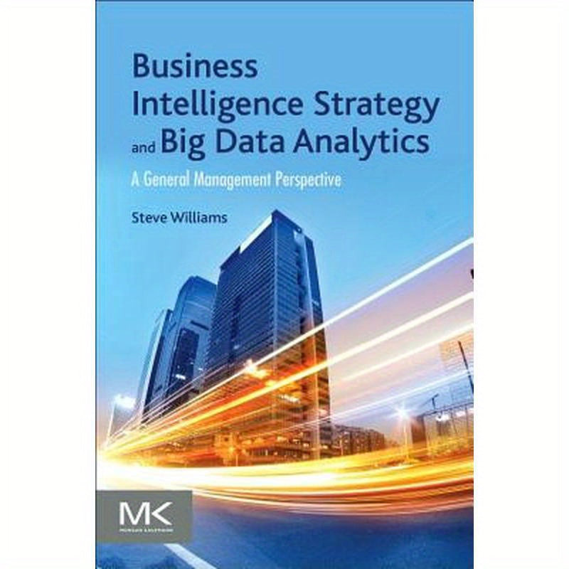 Business Intelligence Strategy and Big Data Analytics: A General Management Perspective