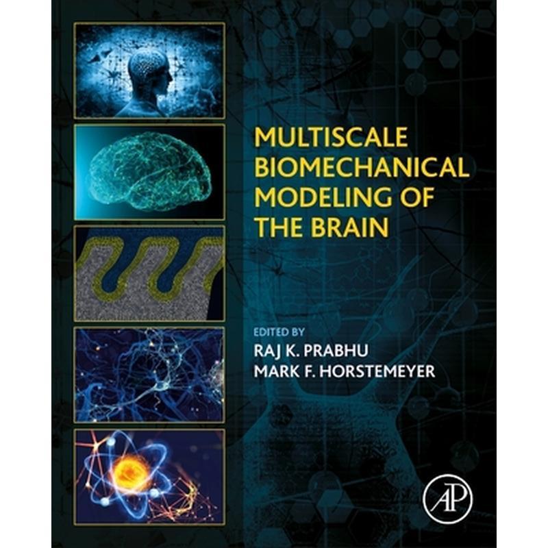 Multiscale Biomechanical Modeling of the Brain