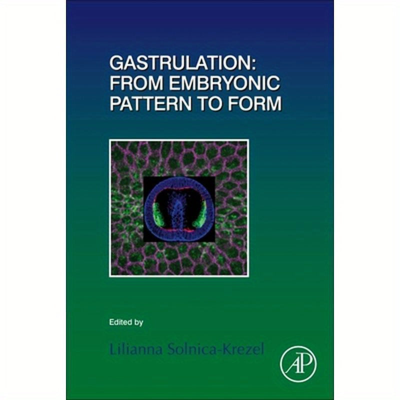 Gastrulation: From Embryonic Pattern to Form: Volume 136