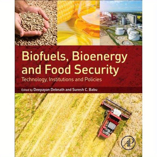 Biofuels, Bioenergy and Food Security: Technology, Institutions and Policies