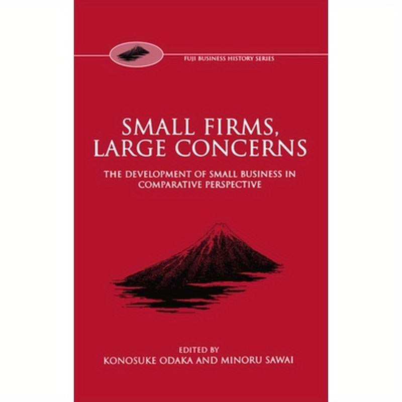 Small Firms, Large Concerns 'The Development of Small Business in Comparative Perspective'