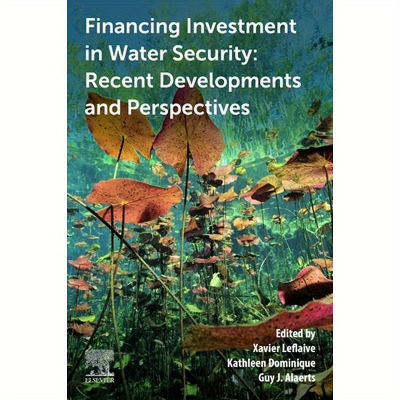 Financing Investment in Water Security: Recent Developments and Perspectives