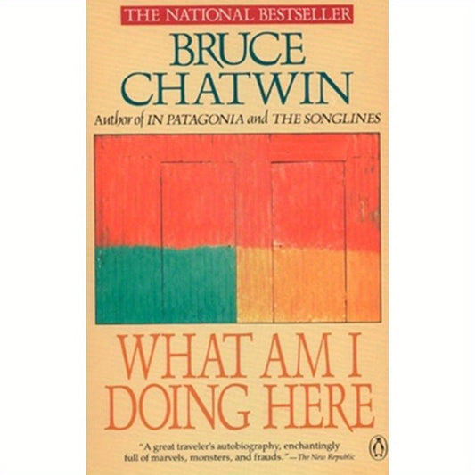 What Am I Doing Here