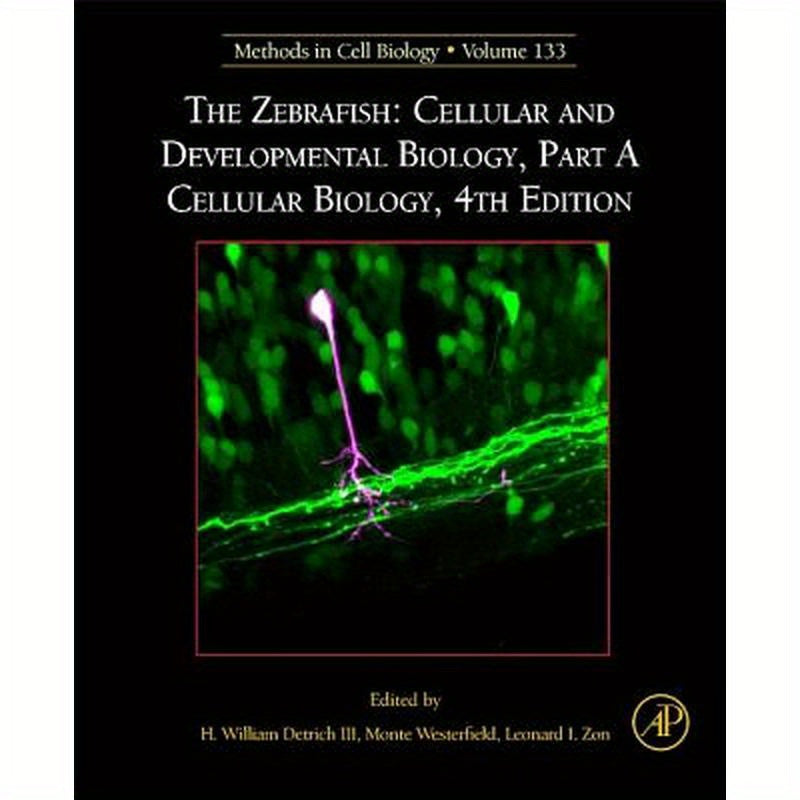 The Zebrafish: Cellular and Developmental Biology, Part a Cellular Biology: Volume 133