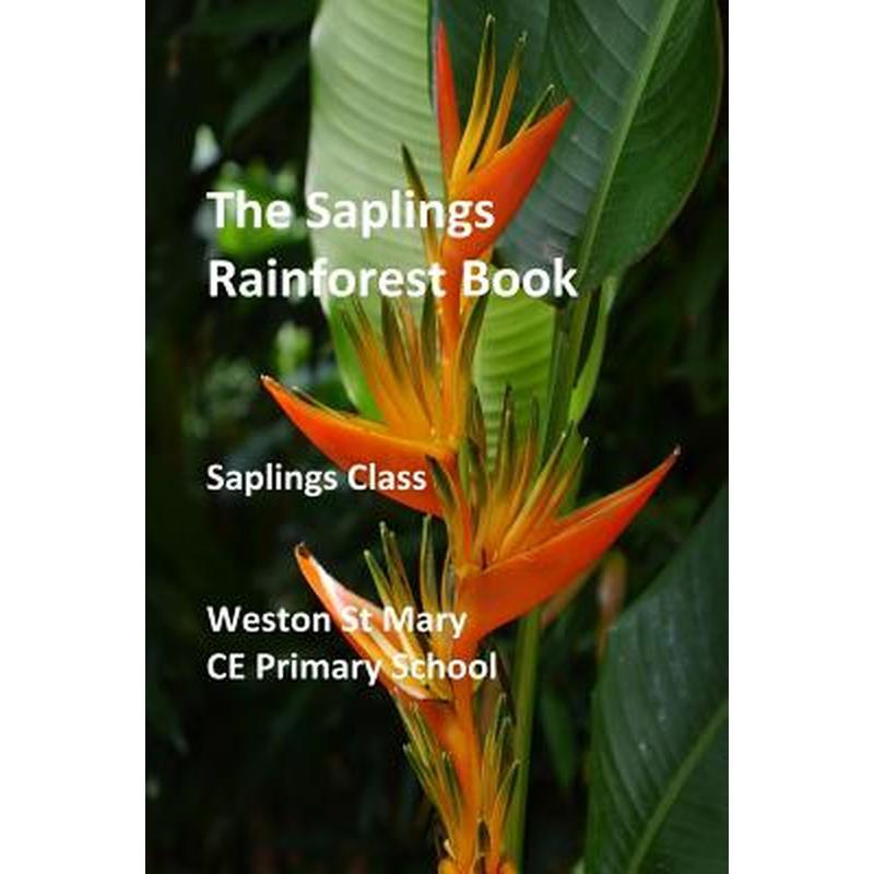 The Saplings Rainforest Book