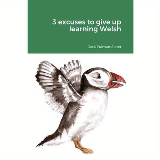 3 excuses to give up learning Welsh
