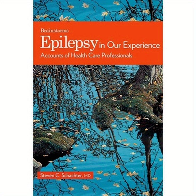 Epilepsy in Our Experience: Accounts of Health Care Professionals